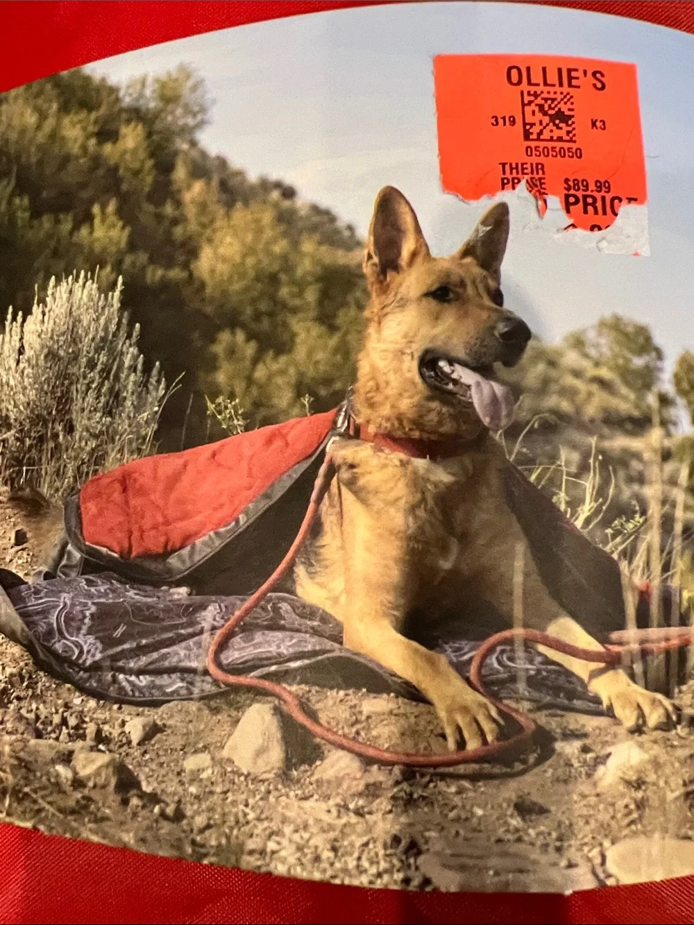 NWT Jeep Red Venture Sleeping Bag Style Dog Bed